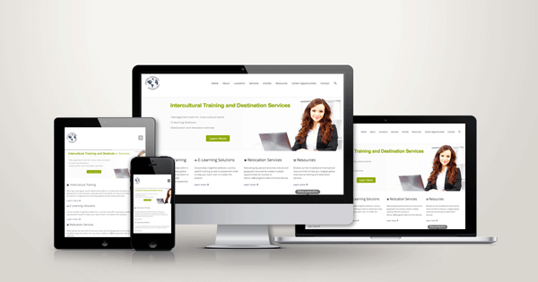 Cultural-Awareness-International_website_users